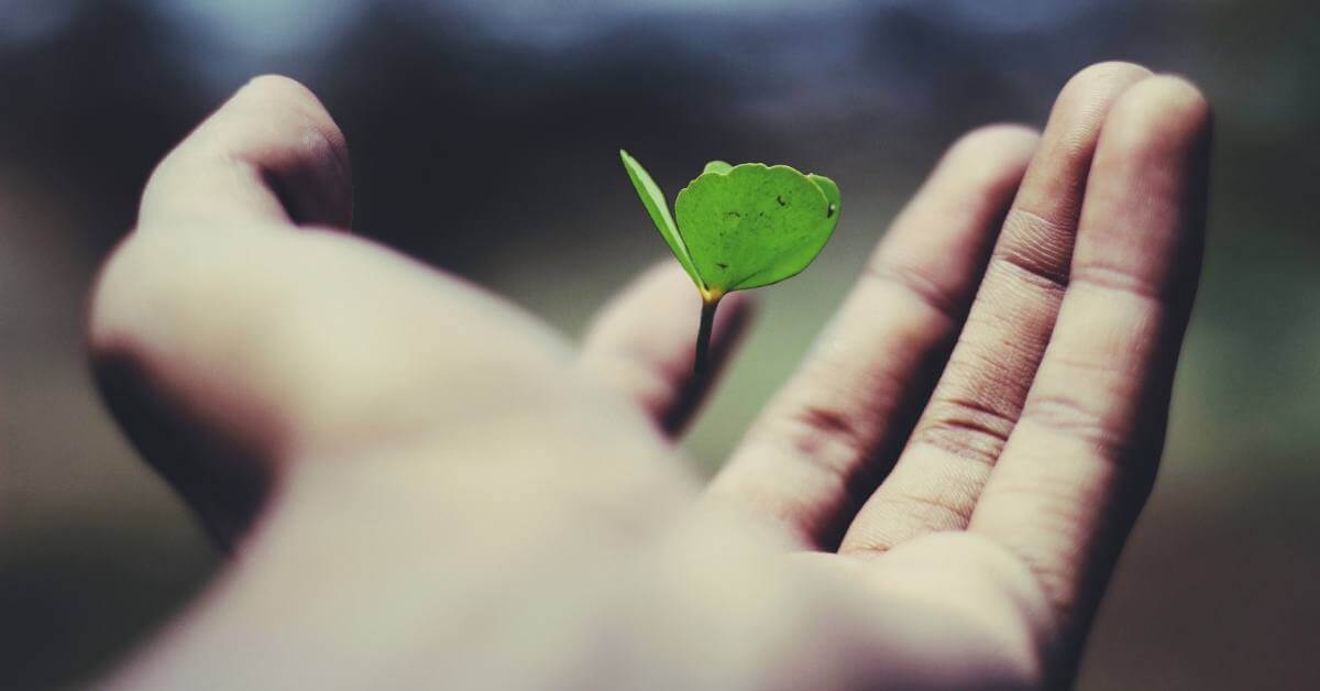 growth-marketing-metrics