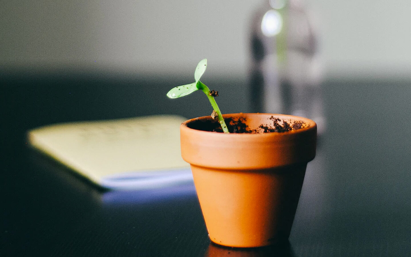 Growth Strategy Problems