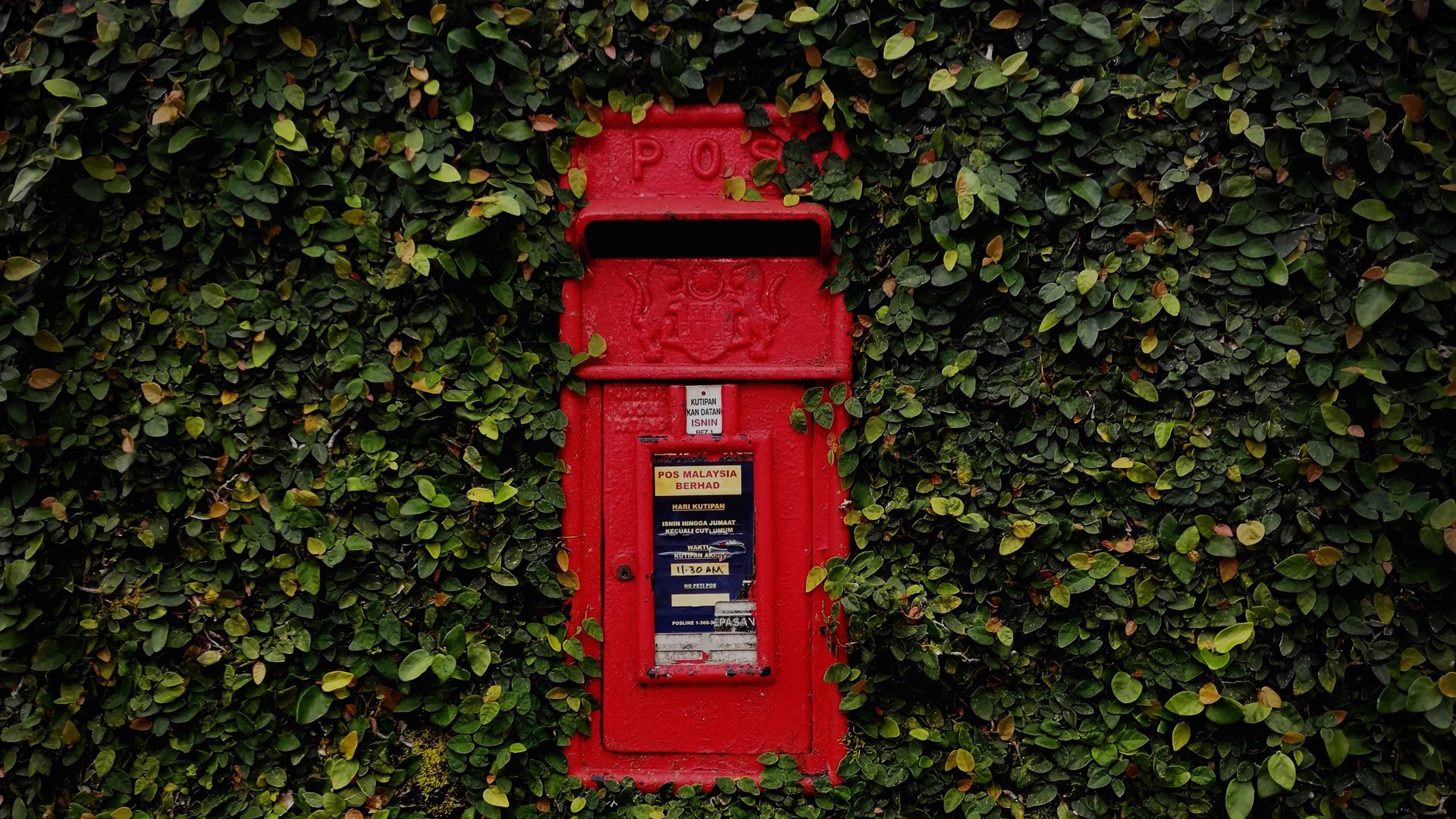 noitu-love-1242529-unsplash